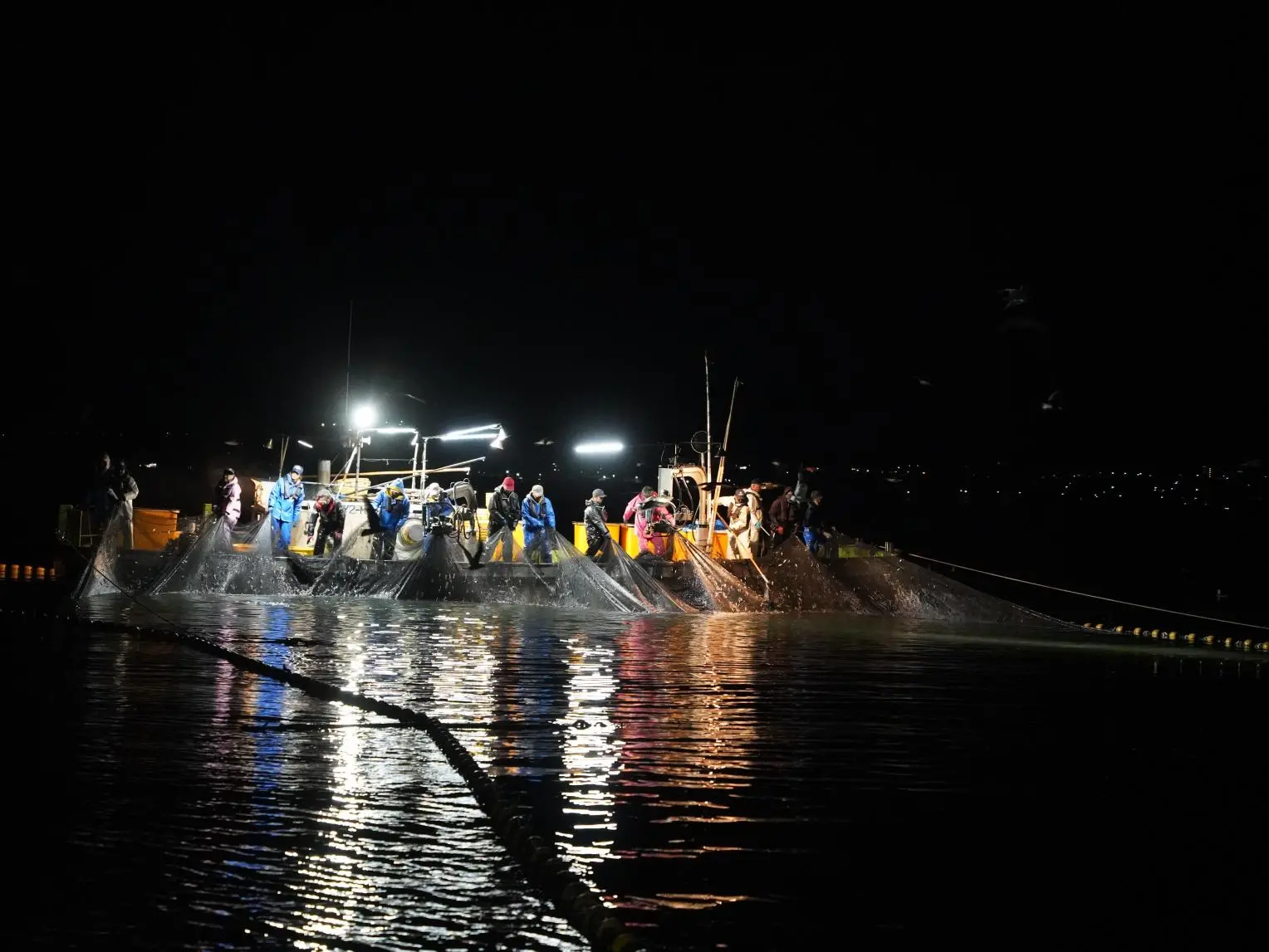 Firefly Squid Fishing Tour - One of the Rarest Marine Sightseeing Tours in the World!-0