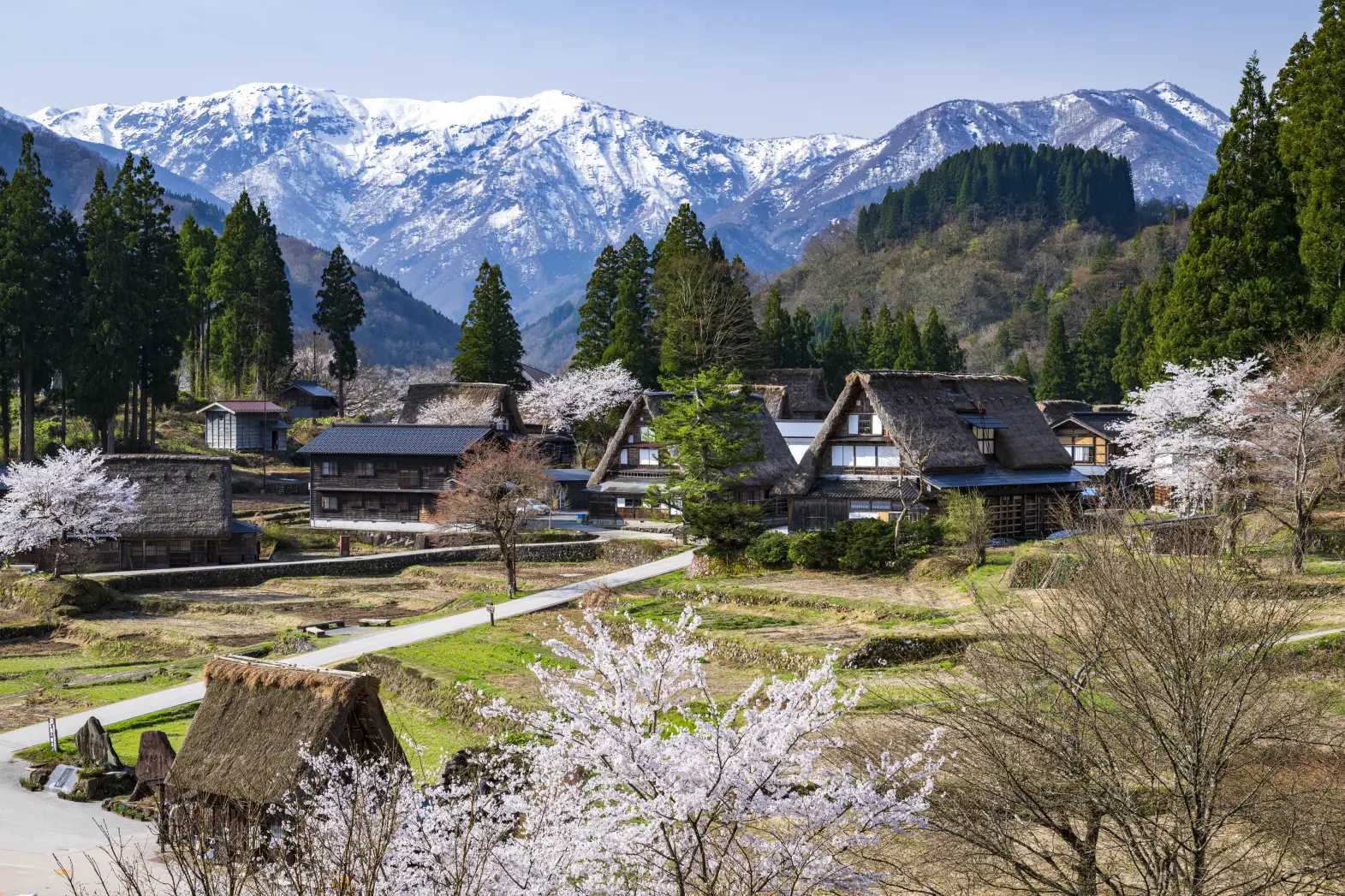 １　世界遺産五箇山合掌造り集落-0