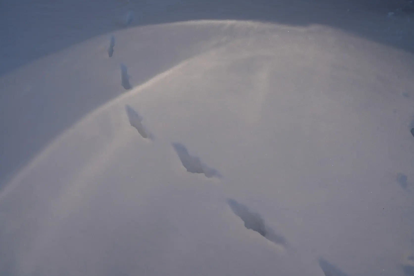 【冬を体験】かんじきと雪遊び-2