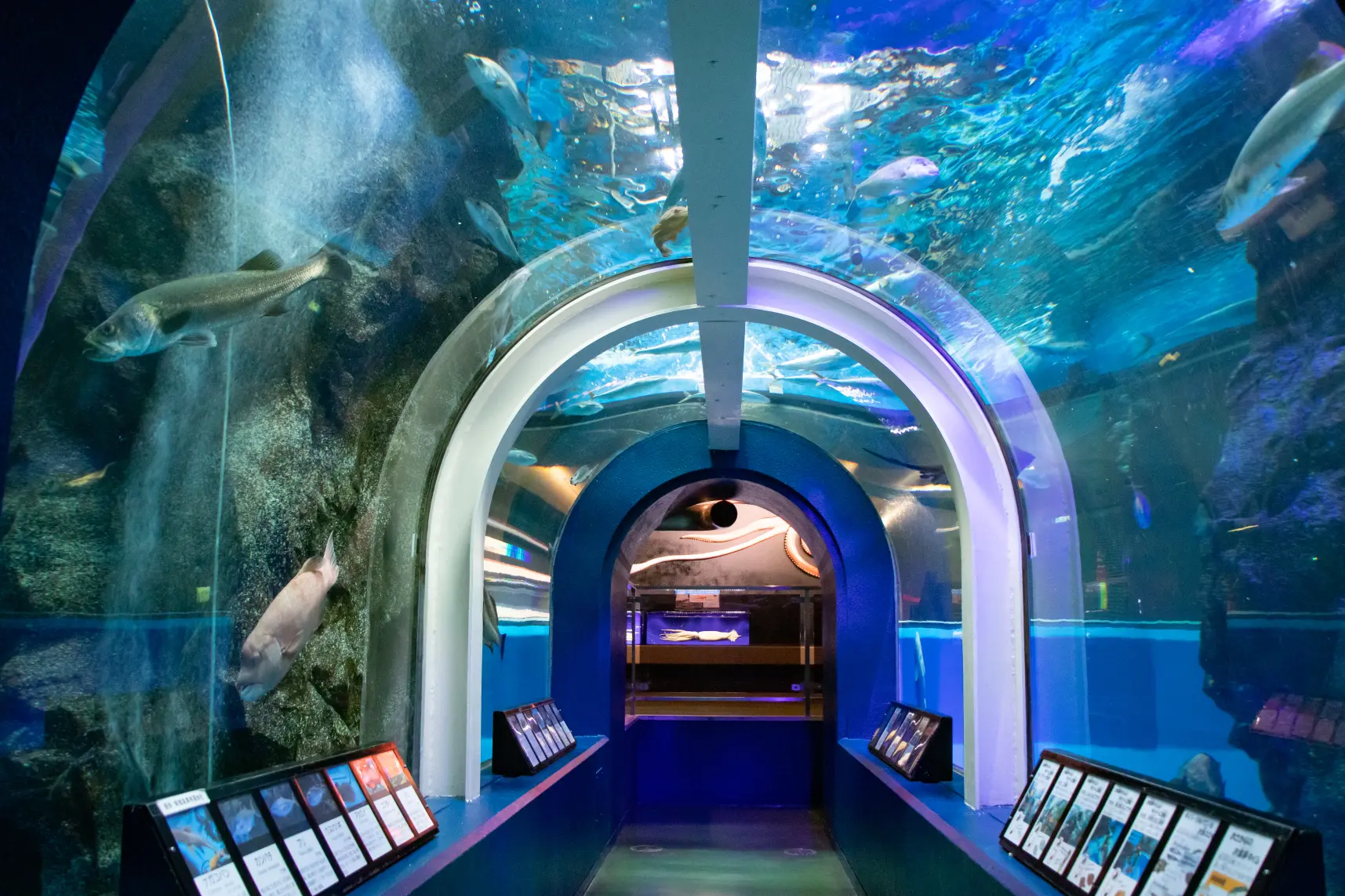 ５　魚津水族館-0