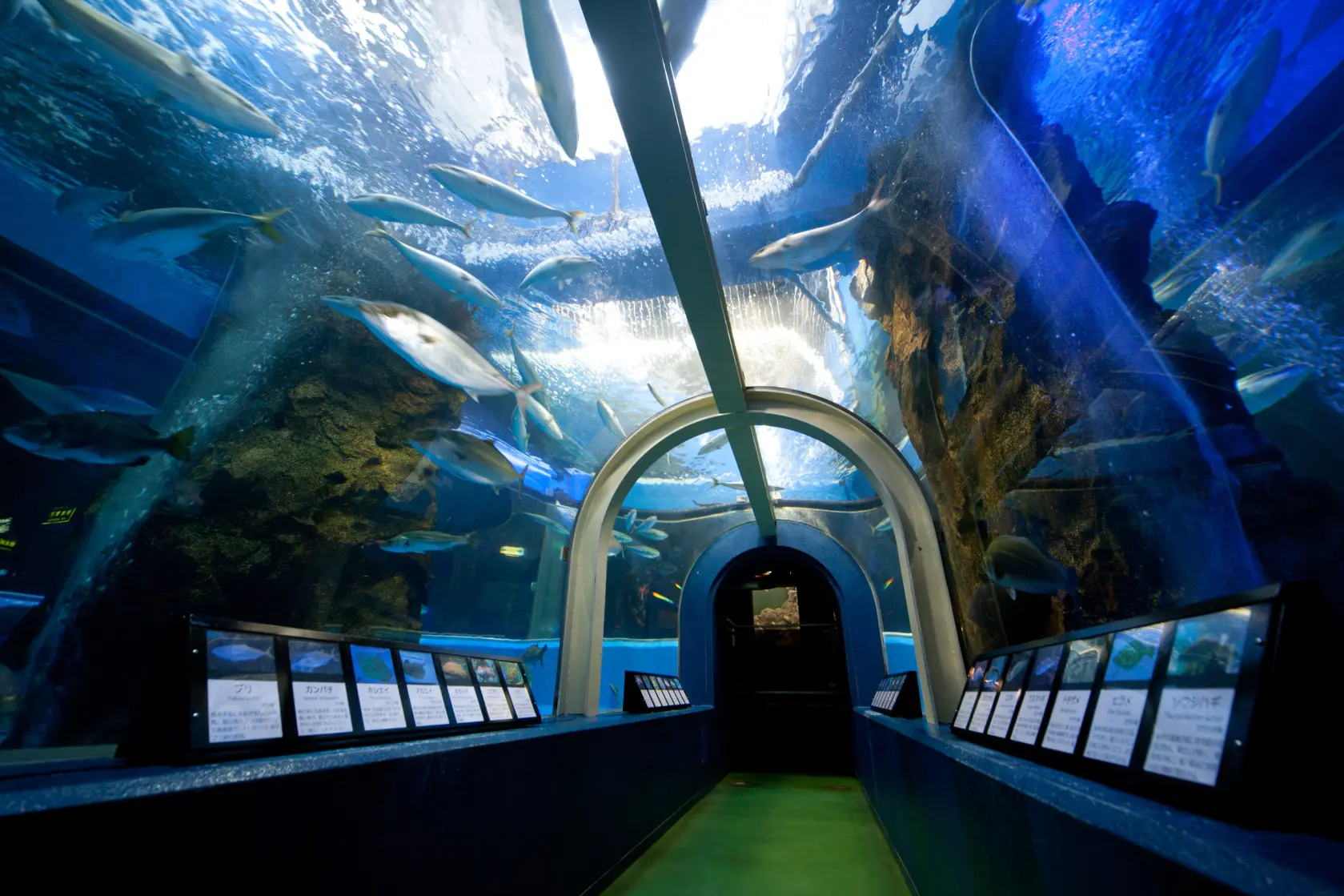 ５　魚津水族館-1