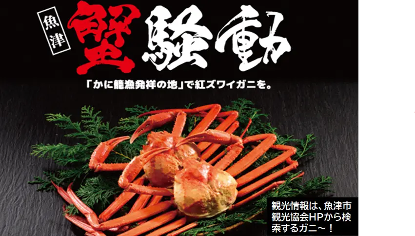 13　魚津 蟹騒動-0