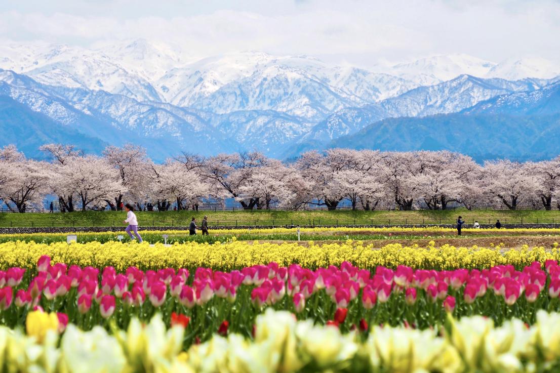 富山の絶景を求めて「とやまビューポイント」を巡ろう | 特集 | 【公式】富山県の観光/旅行サイト「とやま観光ナビ」