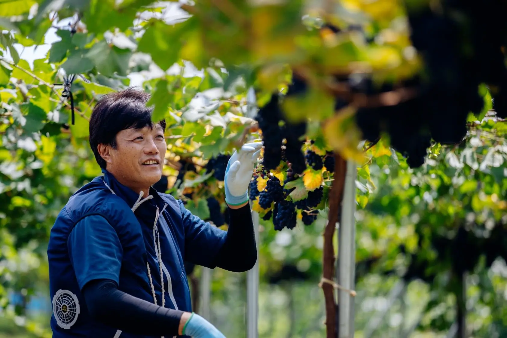 15　KANATA WINERY（カナタワイナリー）-1