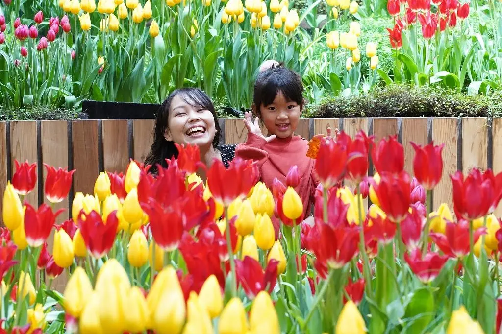 Attraction ①: A World Exclusive Experience! See Tulips in Full Bloom Year-Round at the Tonami Tulip Gallery!-0