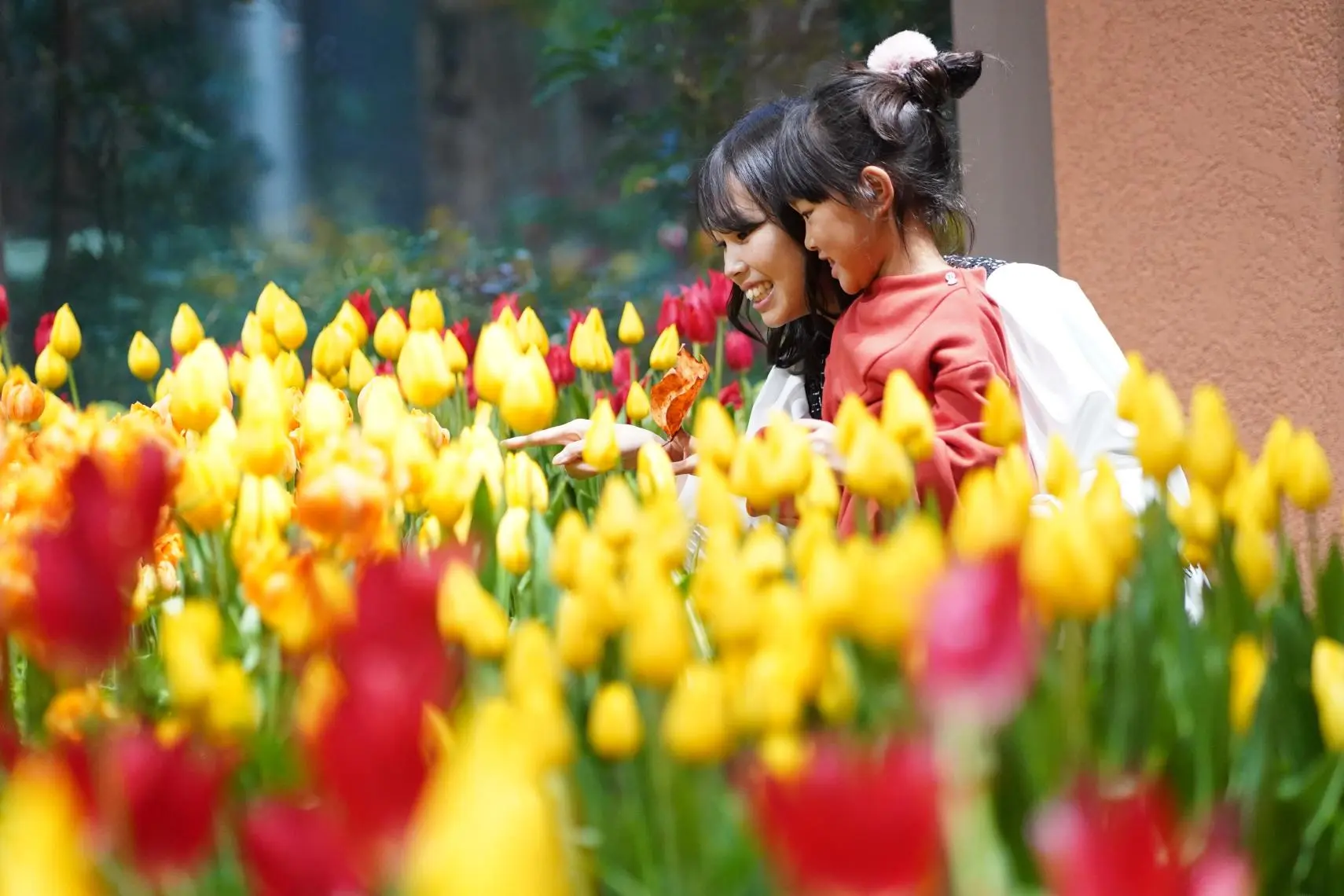 Attraction ①: A World Exclusive Experience! See Tulips in Full Bloom Year-Round at the Tonami Tulip Gallery!-1