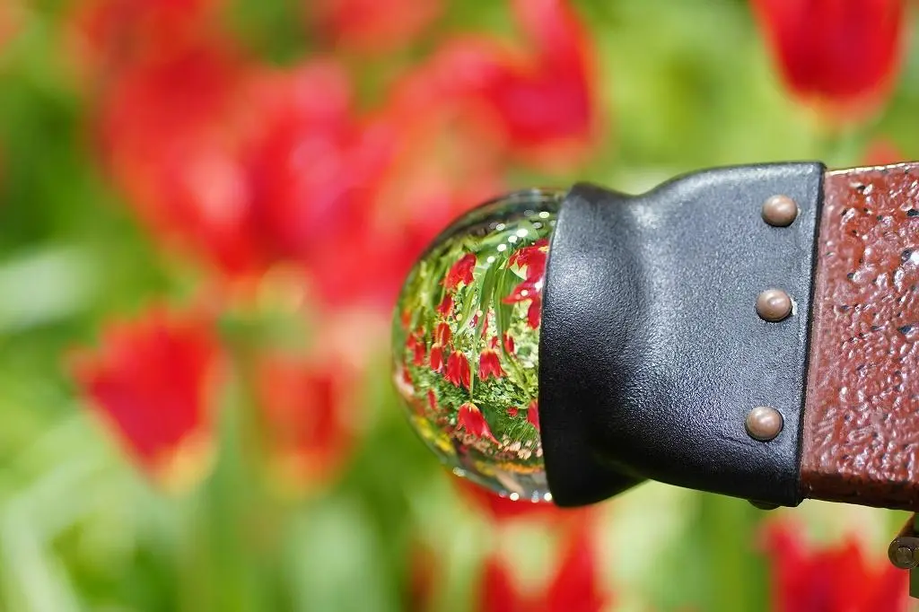 Attraction ②: The 'Palette Garden' - A Kaleidoscope of Vibrant Colors!-3