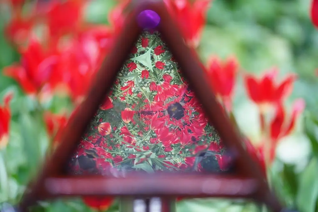 Attraction ②: The 'Palette Garden' - A Kaleidoscope of Vibrant Colors!-4