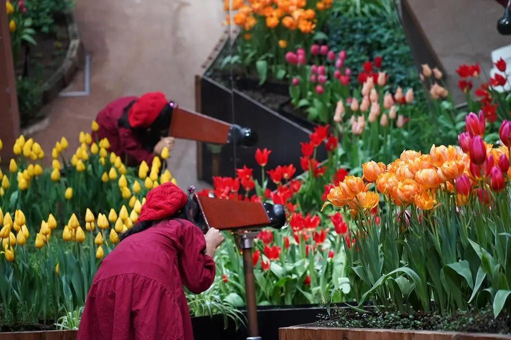 Attraction ②: The 'Palette Garden' - A Kaleidoscope of Vibrant Colors!-2