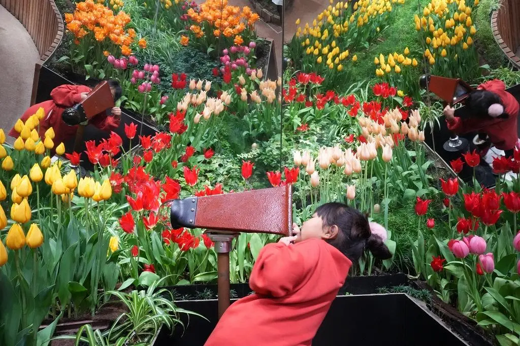 Attraction ②: The 'Palette Garden' - A Kaleidoscope of Vibrant Colors!-0