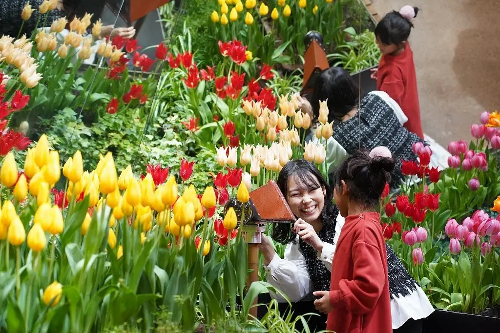 Attraction ②: The 'Palette Garden' - A Kaleidoscope of Vibrant Colors!-1