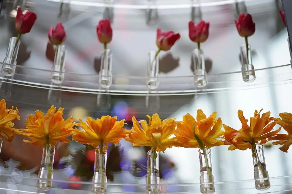 Attraction ③: A Dazzling 3.7m Tower of 500 Tulip Stems, Offering a Panoramic Floral Art Experience!-3