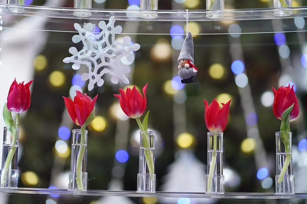 Attraction ③: A Dazzling 3.7m Tower of 500 Tulip Stems, Offering a Panoramic Floral Art Experience!-4