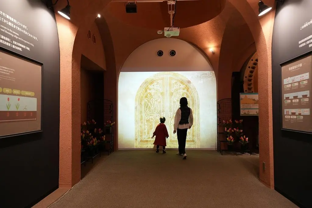 Attraction ④: Discover the Fascinating History of Tulips Through an Interactive Exhibit!-1