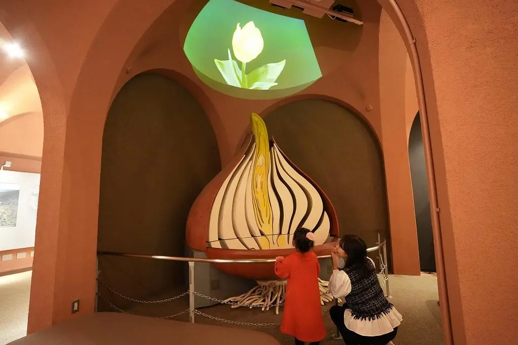 Attraction ④: Discover the Fascinating History of Tulips Through an Interactive Exhibit!-0