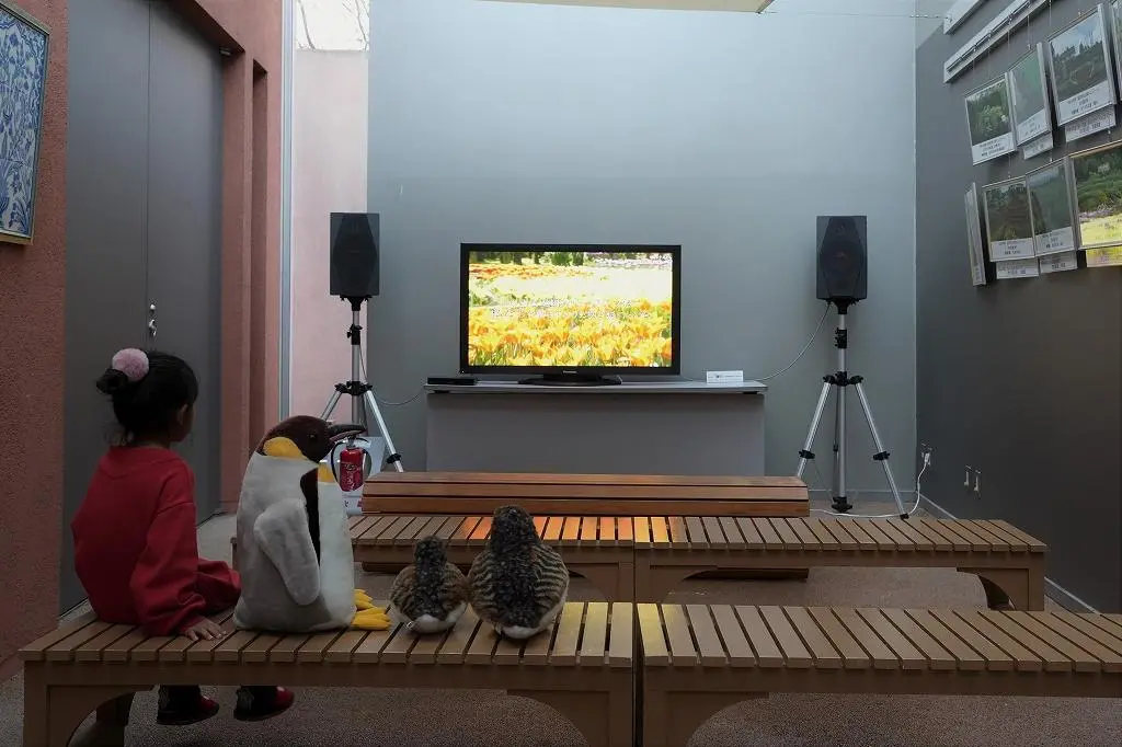 Attraction ④: Discover the Fascinating History of Tulips Through an Interactive Exhibit!-5