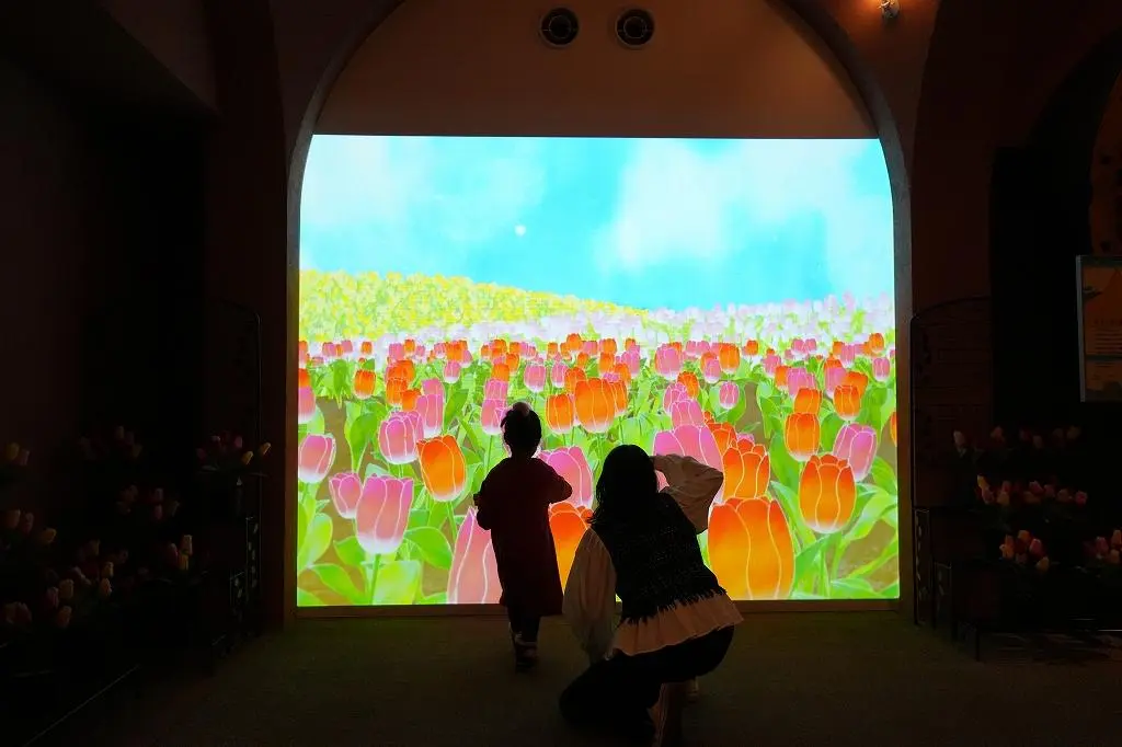 Attraction ④: Discover the Fascinating History of Tulips Through an Interactive Exhibit!-2