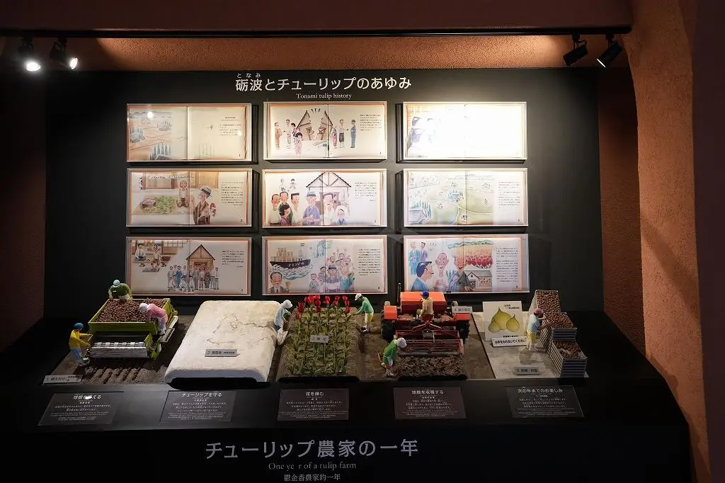 Attraction ④: Discover the Fascinating History of Tulips Through an Interactive Exhibit!-4