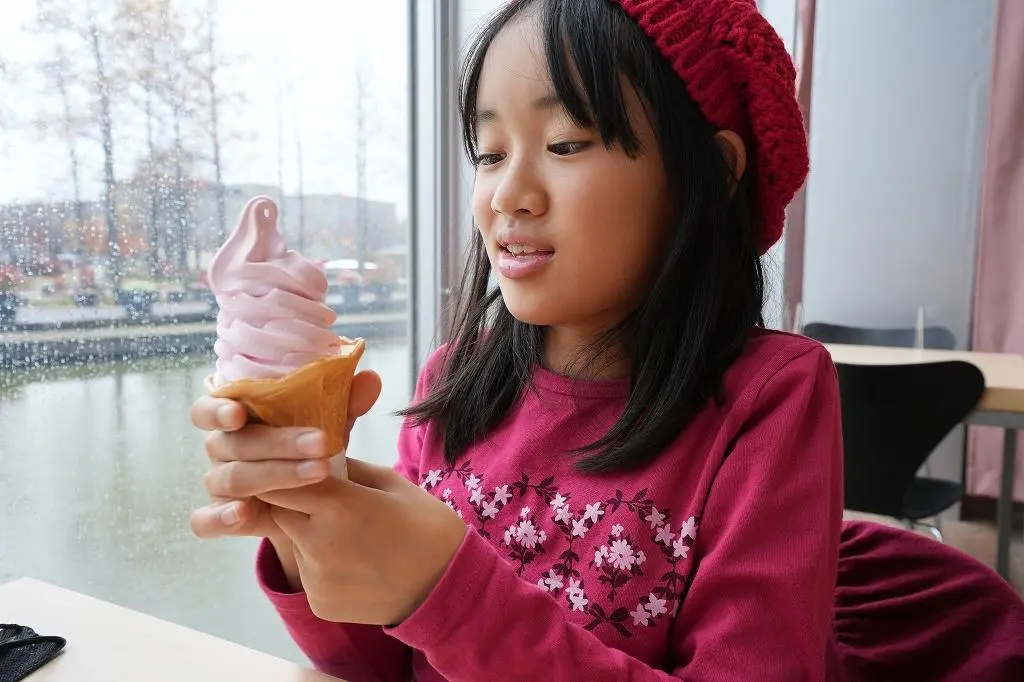 Attraction ⑥: Don’t Miss the Museum Store and Cozy Cafe!-9