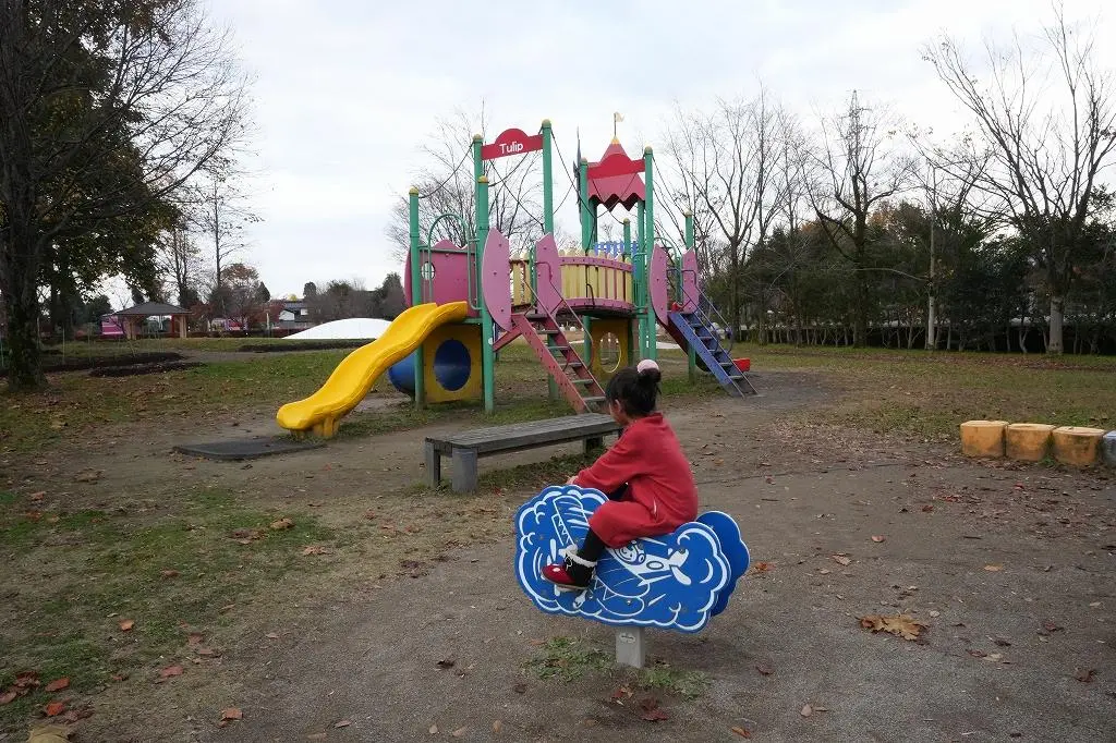 Attraction ⑦: Enjoy Exciting Play Equipment at 'Tonami Tulip Park'!-1