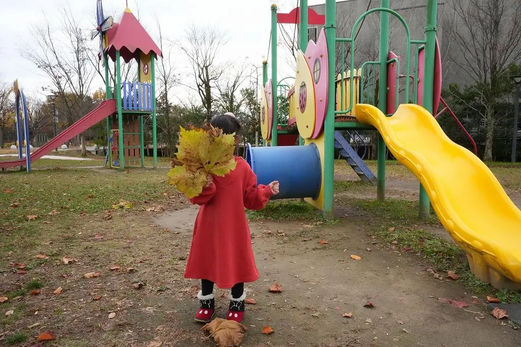 Attraction ⑦: Enjoy Exciting Play Equipment at 'Tonami Tulip Park'!-3