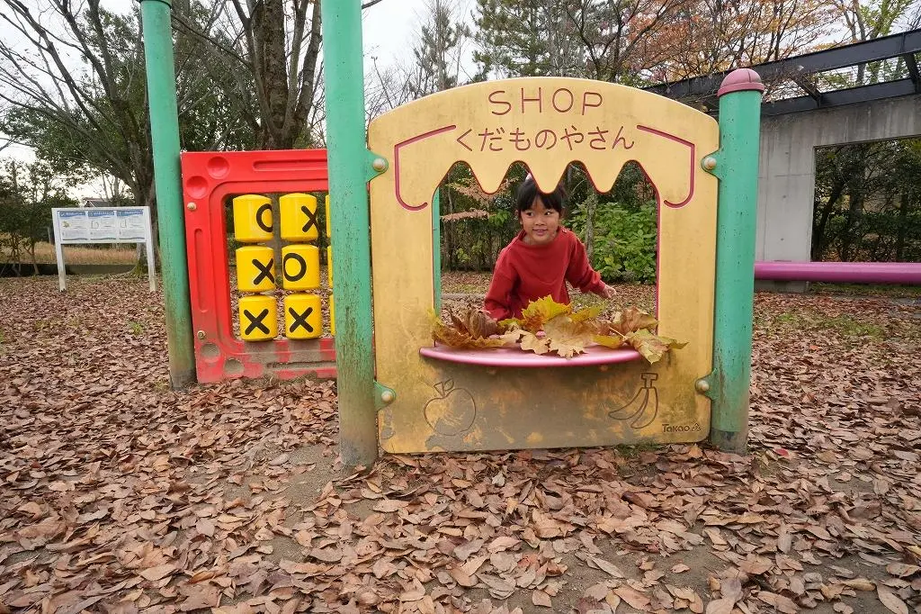 Attraction ⑦: Enjoy Exciting Play Equipment at 'Tonami Tulip Park'!-2