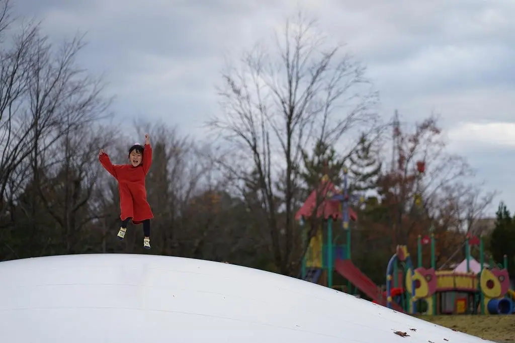 Attraction ⑦: Enjoy Exciting Play Equipment at 'Tonami Tulip Park'!-0