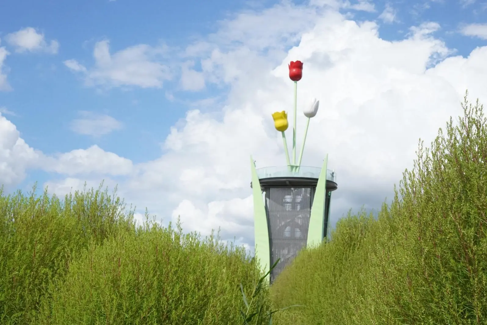 Attraction ⑧: A Must-See in Summer and Autumn! Enjoy the Stunning View of Kochia!-2
