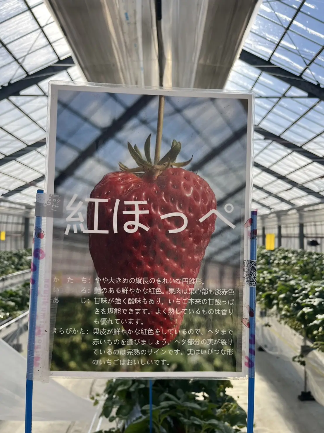 -1
