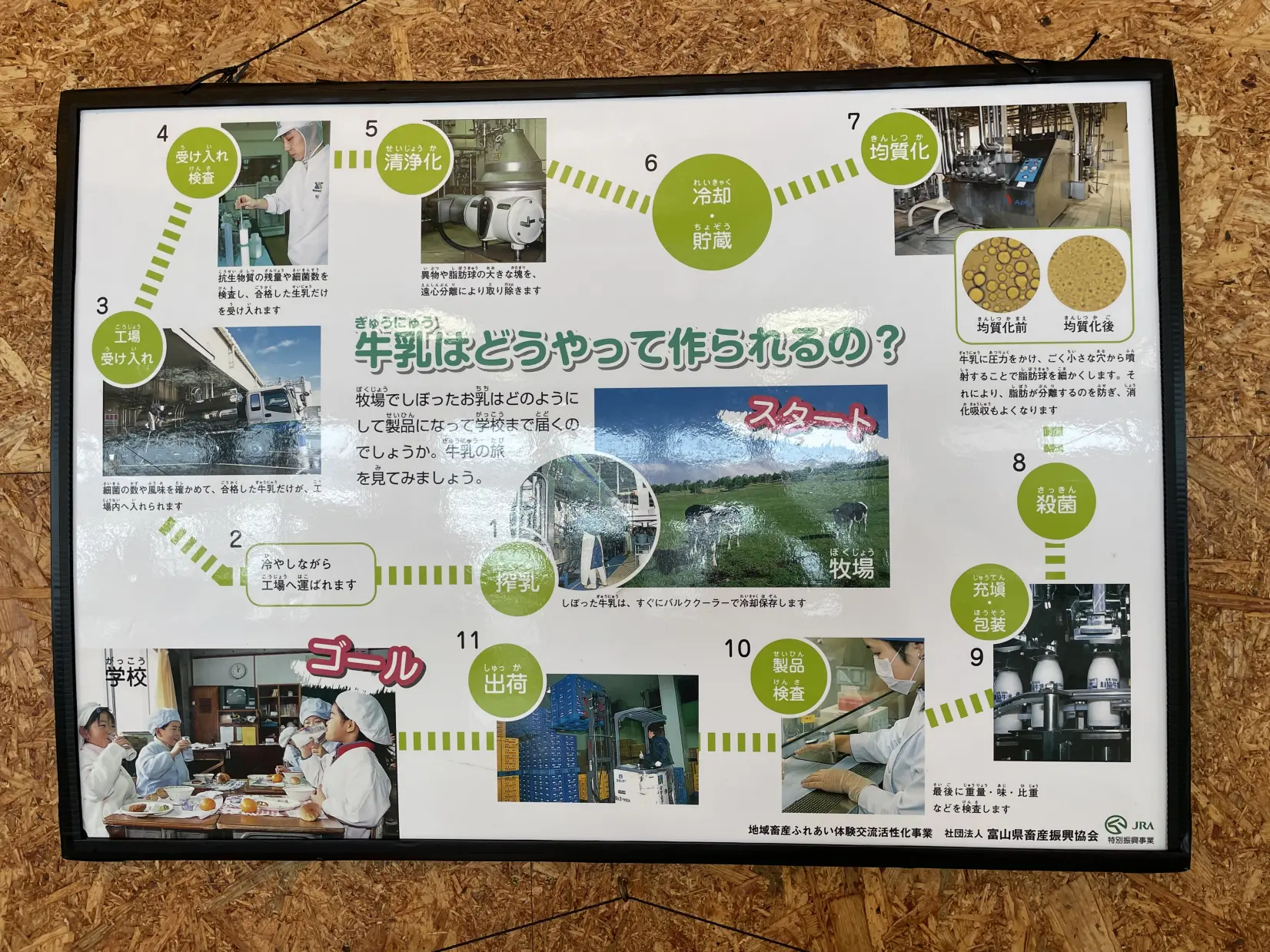 ワークショップで牛乳を学ぶ-2