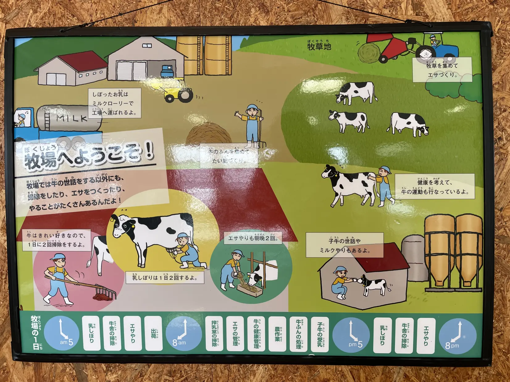 ワークショップで牛乳を学ぶ-1