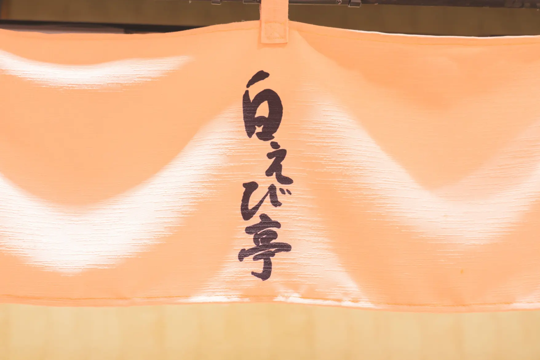 시로에비테이-1