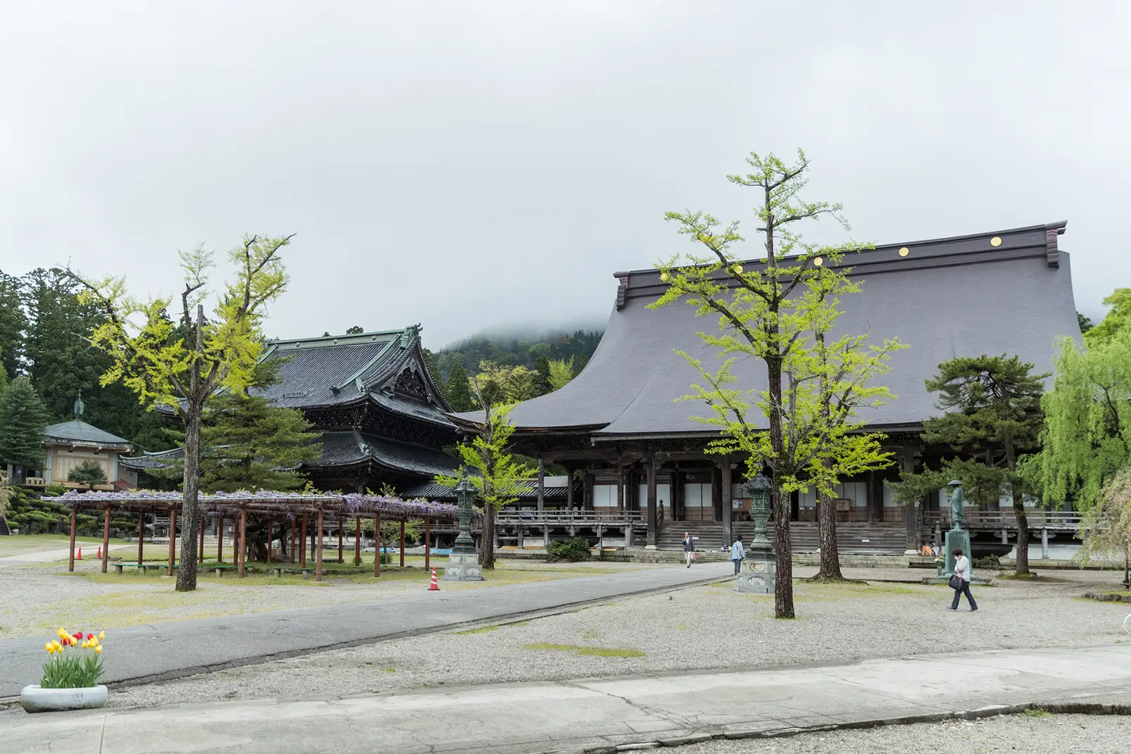 井波彫刻の精緻な技と美が結集、井波別院 瑞泉寺-3