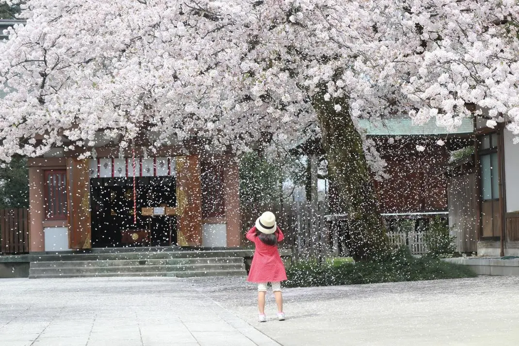 子供たちもワクワク！毎月第一日曜日開催「護国神社　のみの市」で四季を感じる！-0