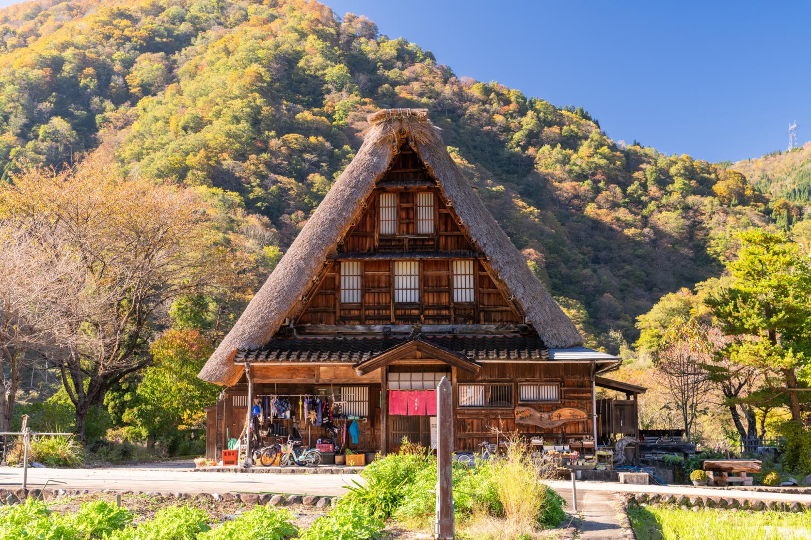 驚きの構造美～合掌造りの歴史と建築技術・特徴～-0