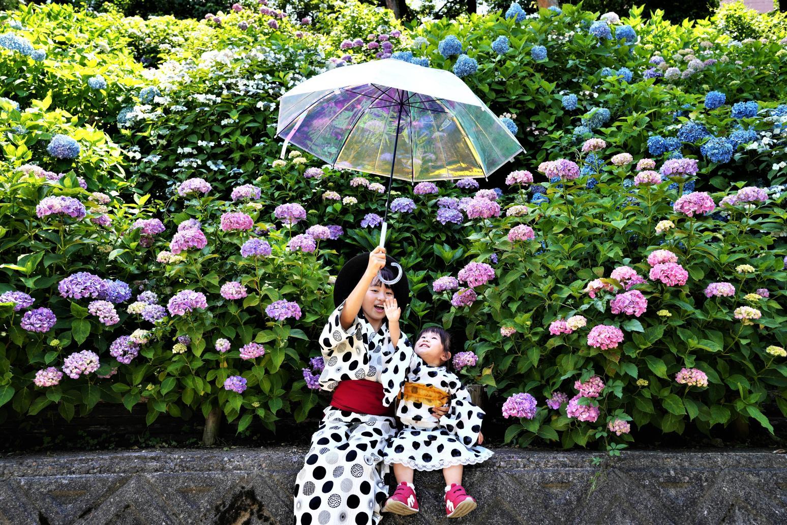 雨の日でも楽しめる富山のおすすめお出かけスポット特集