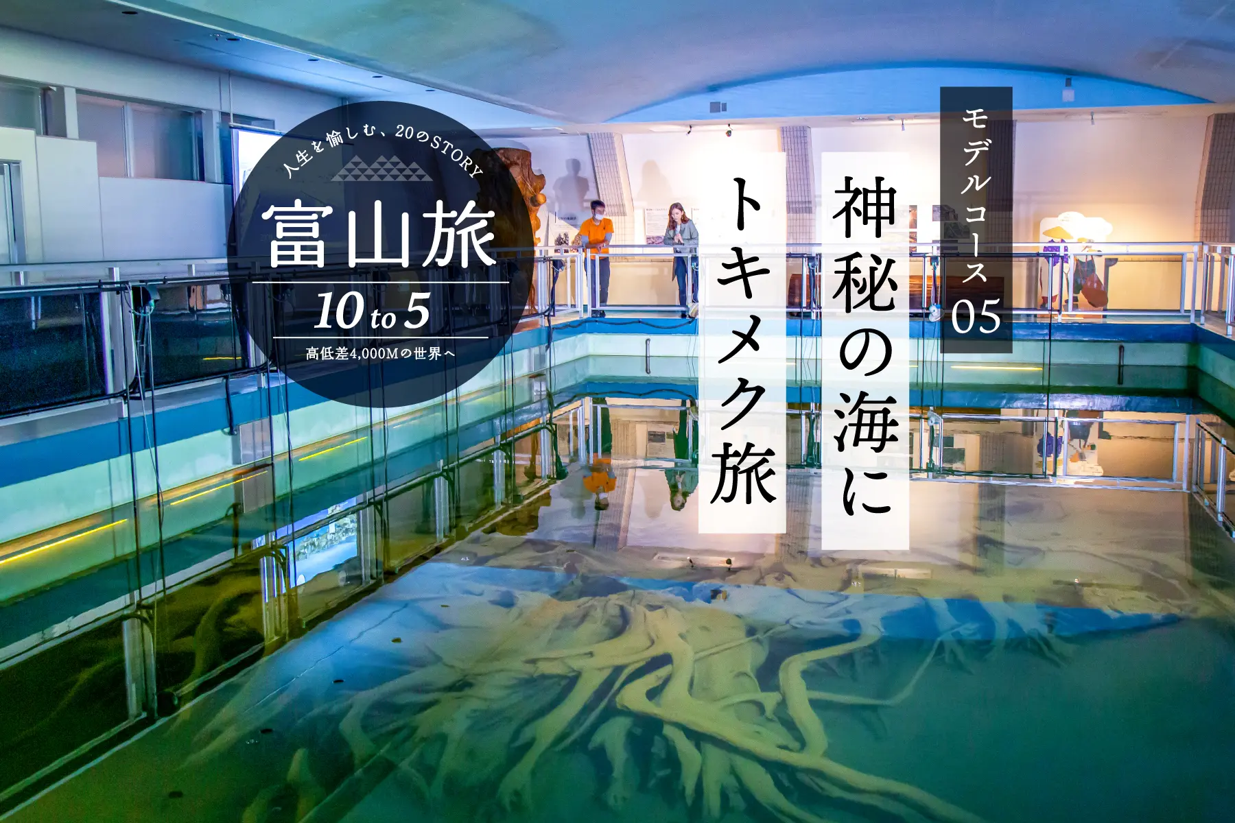 富山駅から７時間。富山湾を巡るドライブコース（県東部編）