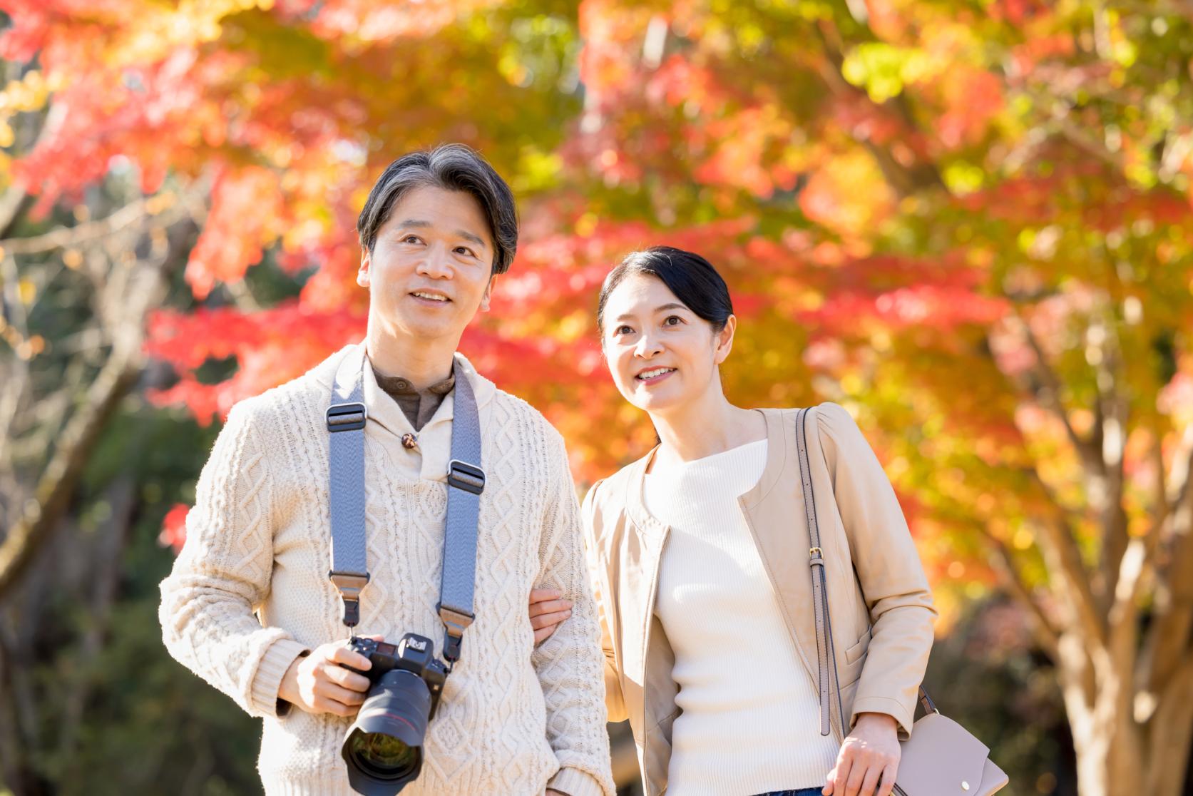 秋の富山！夫婦水入らずで絶景と温泉を巡る旅