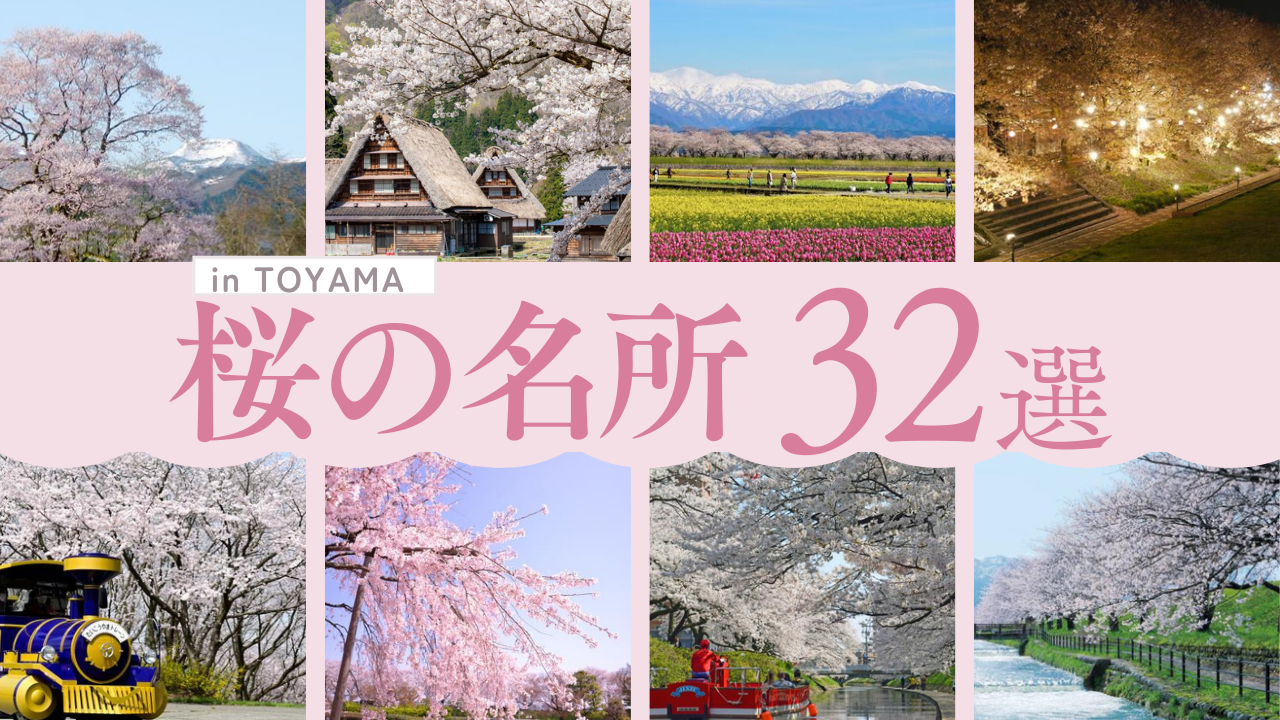 【2026年版】富山の桜名所特集｜お花見スポット・見頃情報まとめ-1