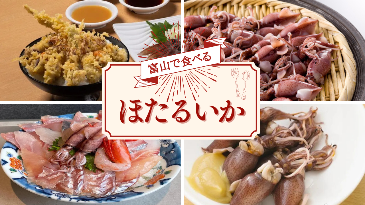 富山で味わう絶品ホタルイカ | 観光スポットから地元グルメ・お土産まで徹底ガイド-1