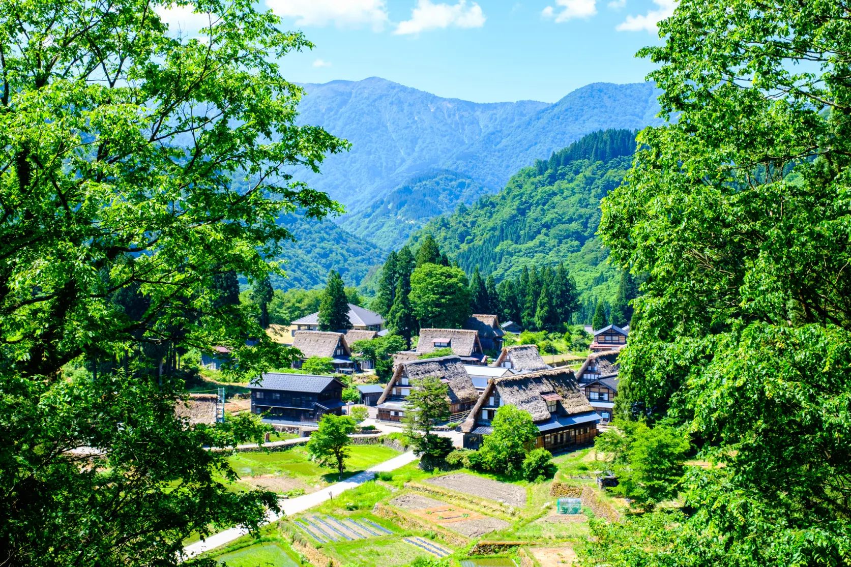 世界遺産とマイナスイオンに癒される旅