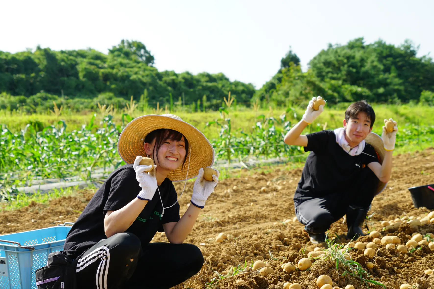 富山でたのしむ農泊体験｜食べて、泊まって、農林漁業体験～富山の農泊の魅力を徹底解説～