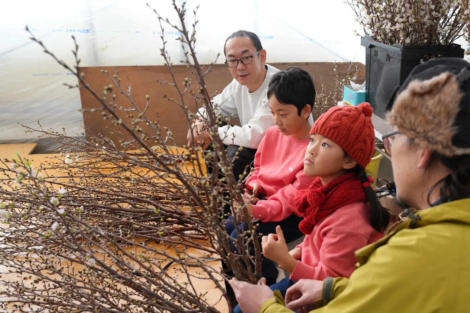 冬景色も最高！富山市の山田地区で、農泊体験をしてみた！【啓翁桜の出荷・かんじき体験・そば打ち体験など】