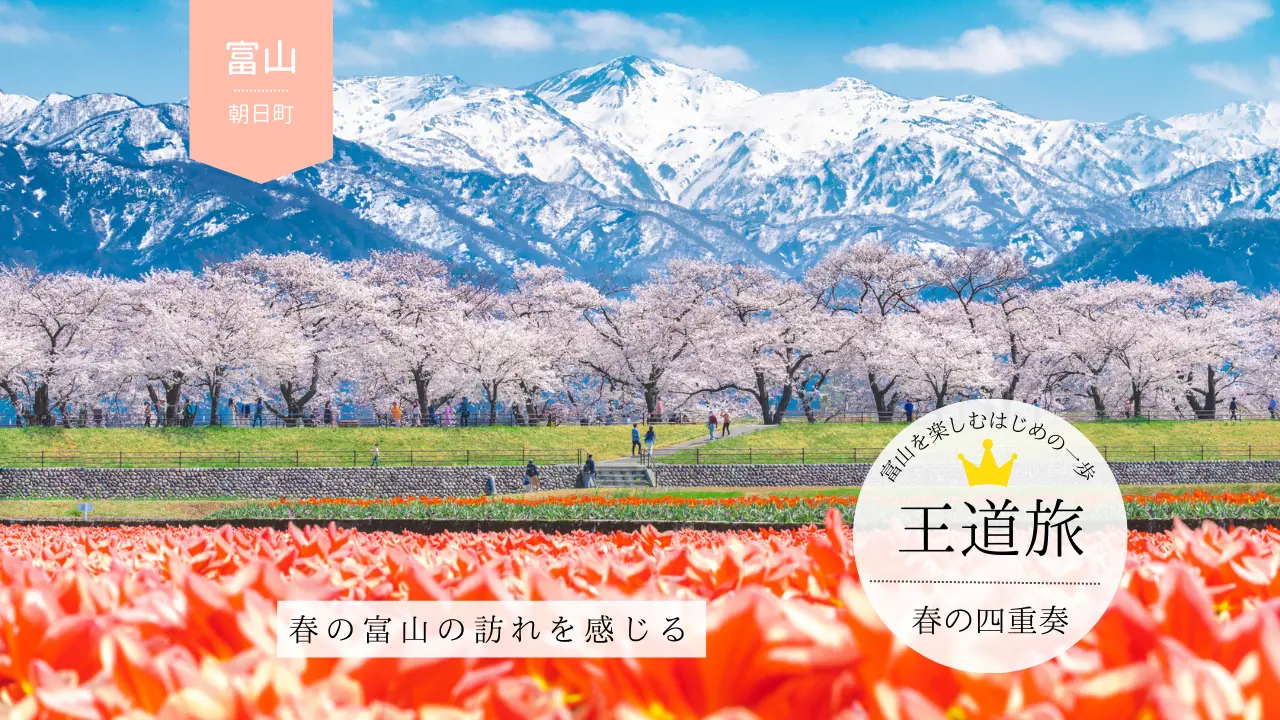 「あさひ舟川 「春の四重奏」」＆周辺の絶景とグルメを堪能する春の富山コース