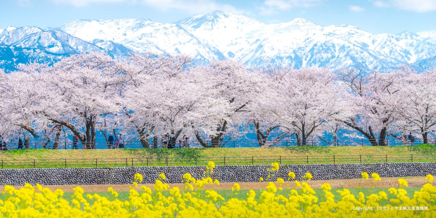 プライバシーポリシー-1