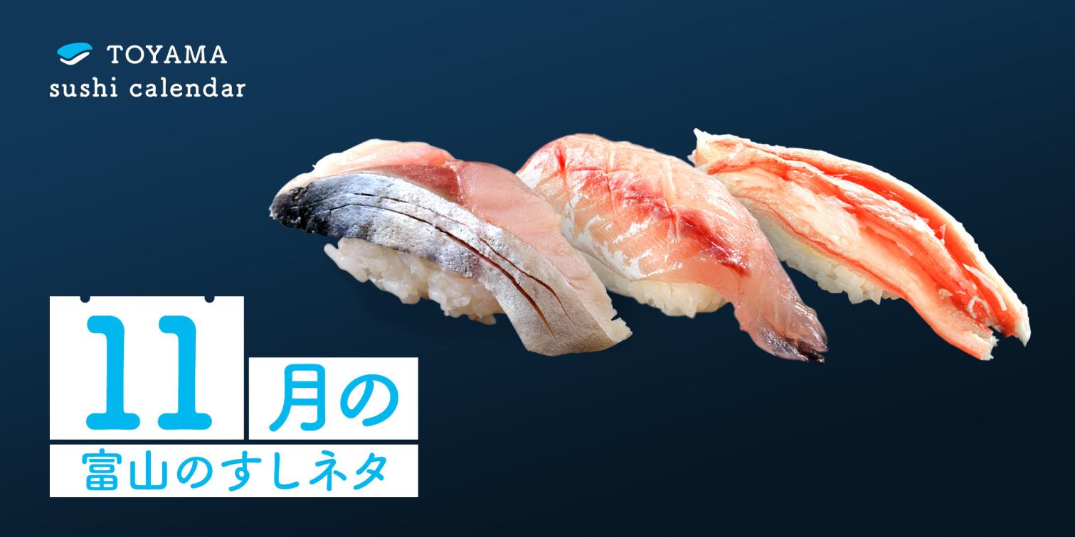 【11月｜富山のすしネタ】旬の富山湾の恵みを味わう。マサバ、アカカマス、ベニズワイガニ。-1