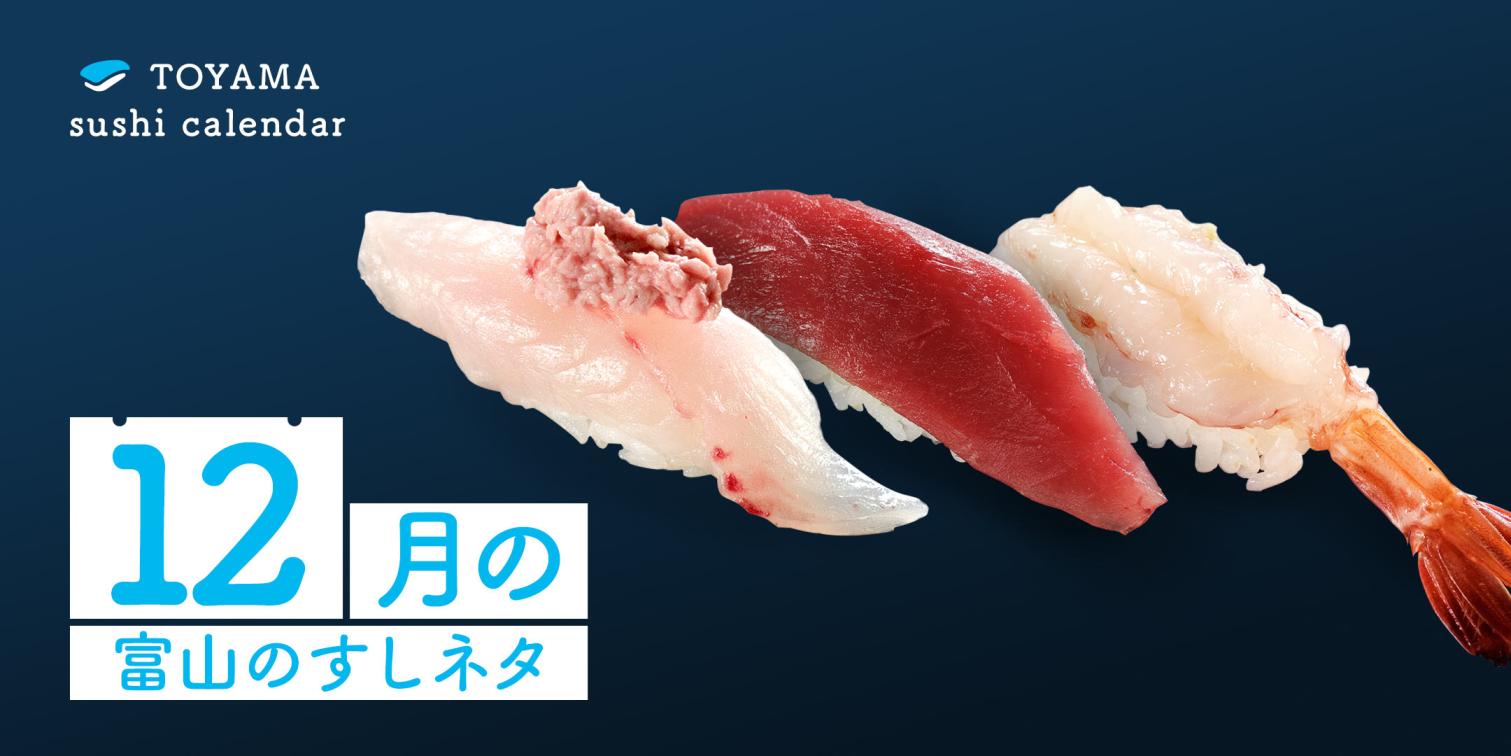 【12月｜富山のすしネタ】富山湾の冬の味覚を堪能。ウマヅラハギ、メジマグロ、ガメエビ。-1