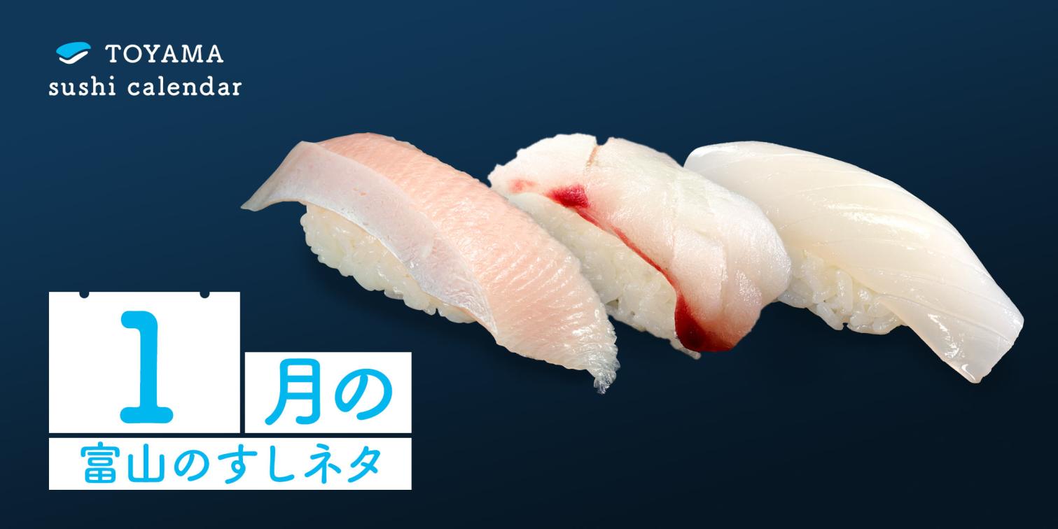 【１月｜富山のすしネタ】 冬の醍醐味！ 富山湾の海の幸を味わい尽くす。ブリ、マダラ、ヤリイカ。-1