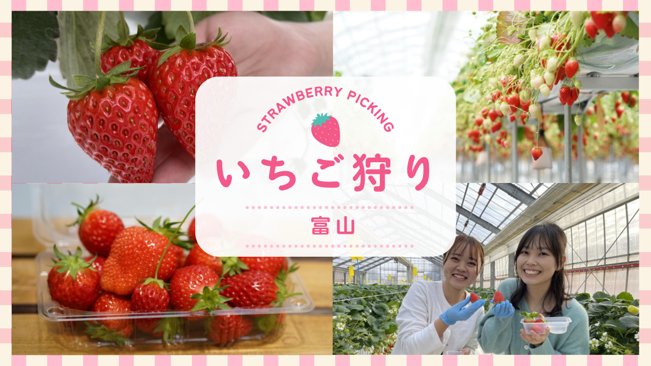 笑顔あふれる！富山でいちご狩りを楽しもう！-1