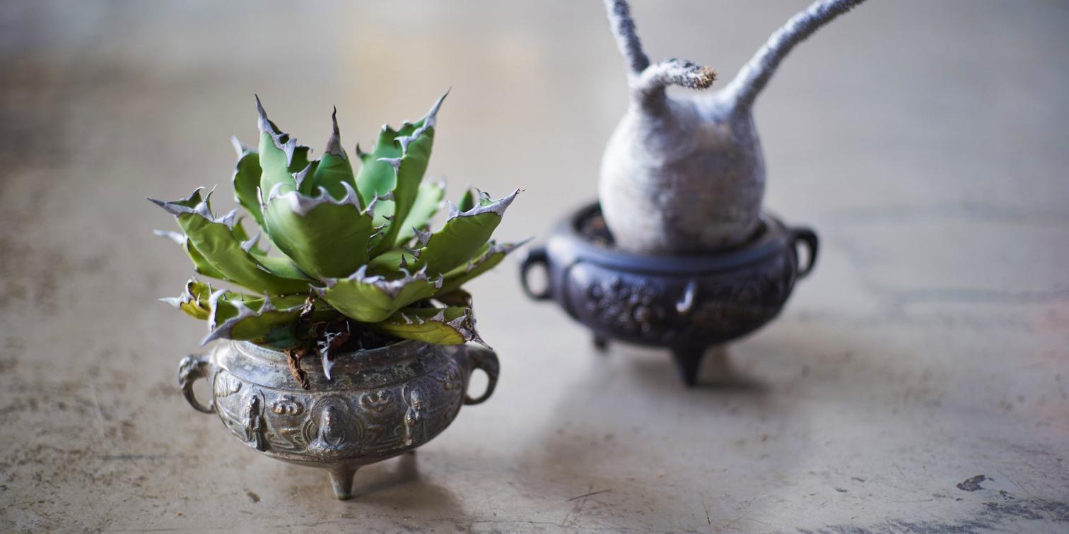 眠っていた仏具に〈#SilenceLAB〉が命を吹き込む。香炉からつくられた植木鉢〈わびさびポット®〉-1